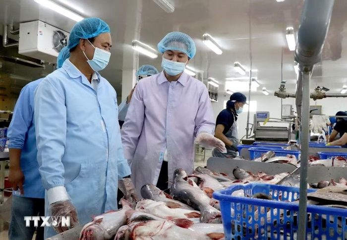 Đoàn công tác Bộ Nông nghiệp và Môi trường khảo sát quy trình sản xuất tại Công ty CP Thủy sản Lộc Kim Chi, phường Thanh Đức, tỉnh Vĩnh Long. (Ảnh: Lê Thúy Hằng/TTXVN)