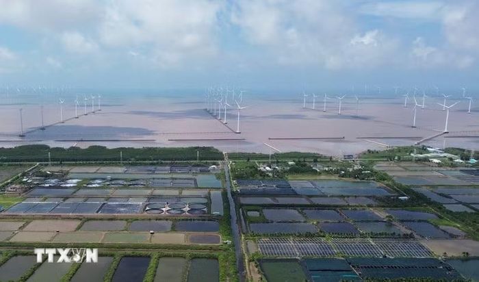 Các dự án điện gió hoạt động ven biển Đông tại xã Vĩnh Hậu, tỉnh Cà Mau. (Ảnh: Tuấn Phi/TTXVN)