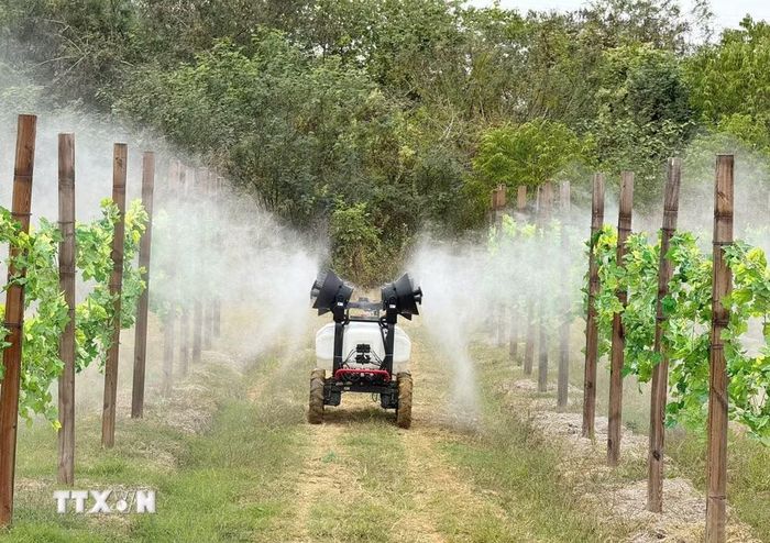 Mô hình nông nghiệp áp dụng công nghệ cao tại tỉnh Quảng Đông (Trung Quốc). (Ảnh: Công Tuyên/TTXVN)