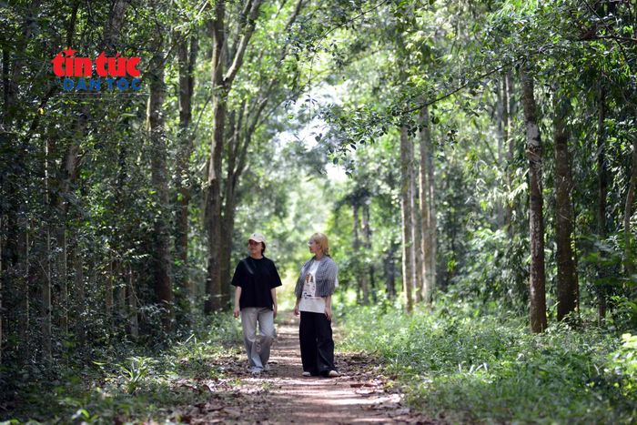 Sinh viên tham quan Vườn thực vật TP Hồ Chí Minh.