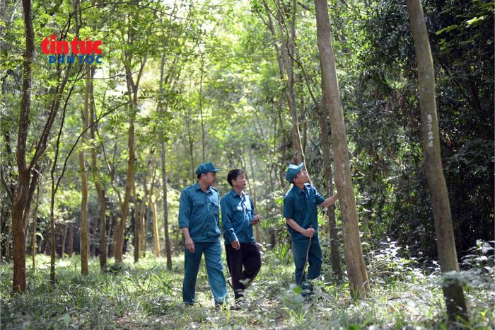 Cán bộ Vườn thực vật TP Hồ Chí Minh chia ca tuần tra, chăm sóc và bảo vệ cây.