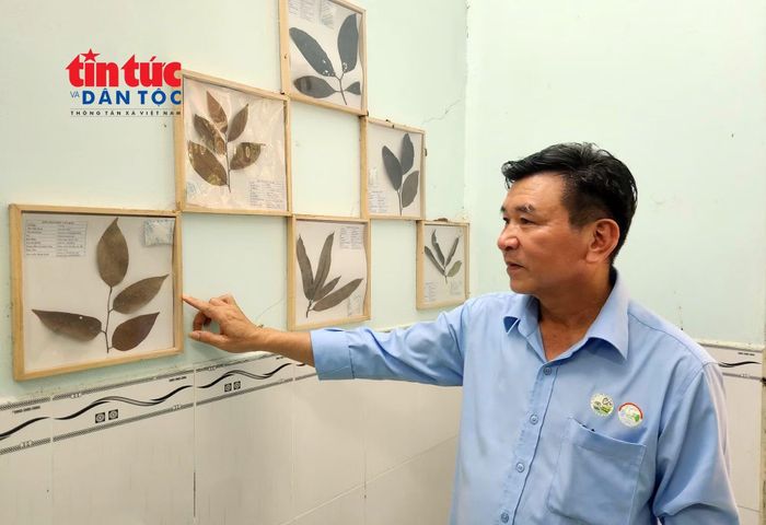 Nơi trưng bày tiêu bản thực vật khô tại Vườn thực vật TP Hồ Chí Minh.