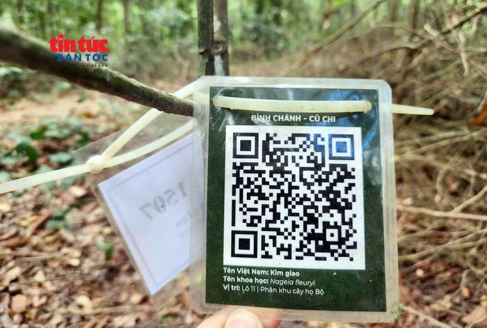 Hiện mỗi loài cây được xây dựng hồ sơ dữ liệu điện tử trên phần mềm QGIS, kết hợp mã QR. Thông tin gồm tên khoa học, tên Việt Nam, họ thực vật, nguồn gốc, đặc điểm hình thái, công dụng, vị trí trồng, thời gian đưa về vườn, tình trạng sinh trưởng và hình ảnh.