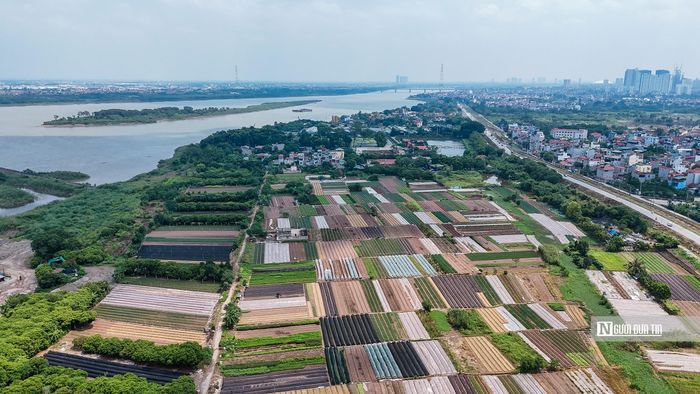 Bên cạnh đó, chỉnh trang làng xóm truyền thống, phát triển công viên sinh thái. Trong ảnh là khu dân cư và hoa màu bên ngoài sông Hồng thuộc địa phận phường Thượng Cát.