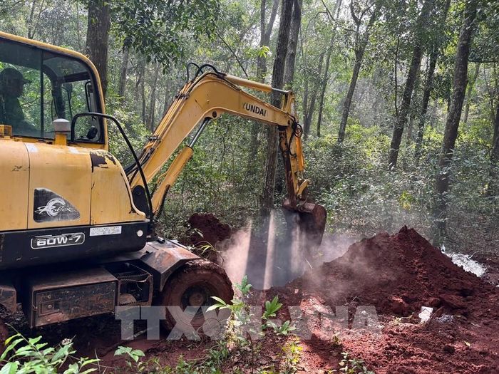 Lực lượng chức năng xã Xuân Sơn phối hợp Trạm Chăn nuôi và Thú y khu vực 8 tiến hành đưa số heo mắc bệnh đi tiêu hủy theo đúng quy chuẩn kỹ thuật. Ảnh: TTXVN phát