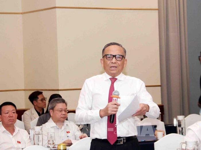 Ông Lê Hoàng Châu, Chủ tịch Hiệp hội Bất động sản Thành phố Hồ Chí Minh, góp ý Luật Đật đai (sửa đổi) tại Hội thảo. Ảnh: Xuân Khu-TTXVN