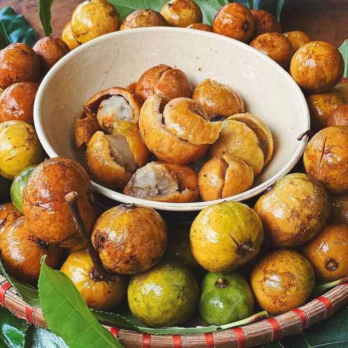 Sấu chín. Ảnh: Tạp chí Thiên nhiên và Môi trường