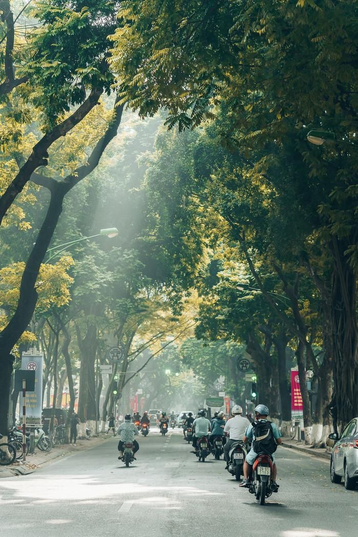 Phố Phan Đình Phùng khi vào thu. Ảnh: Nguyễn Khánh Vũ Khoa/báo Lao Động