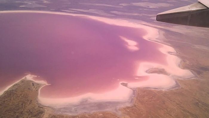 Kati Thanda-Lake Eyre. Ảnh: Hiltonj CC BY-SA 3.0, qua Wikimedia Commons