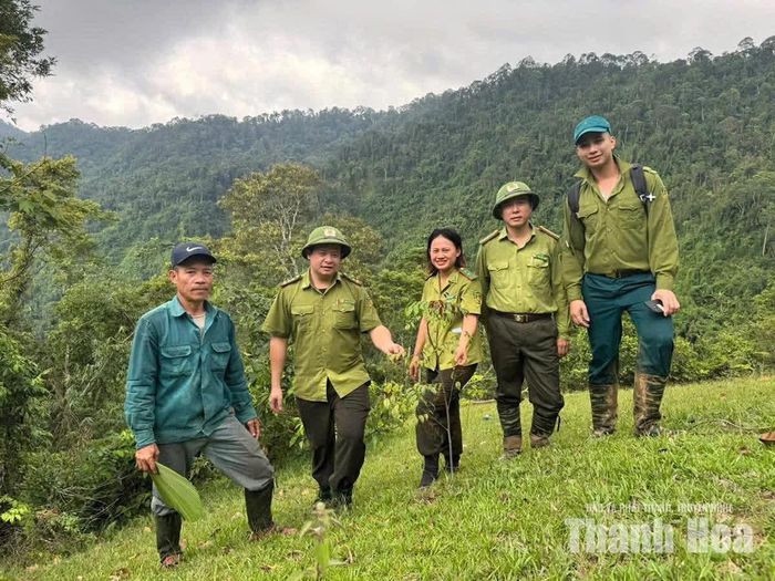 Hạt Kiểm lâm Thường Xuân tăng cường tuần tra, kiểm tra an ninh rừng tận gốc.