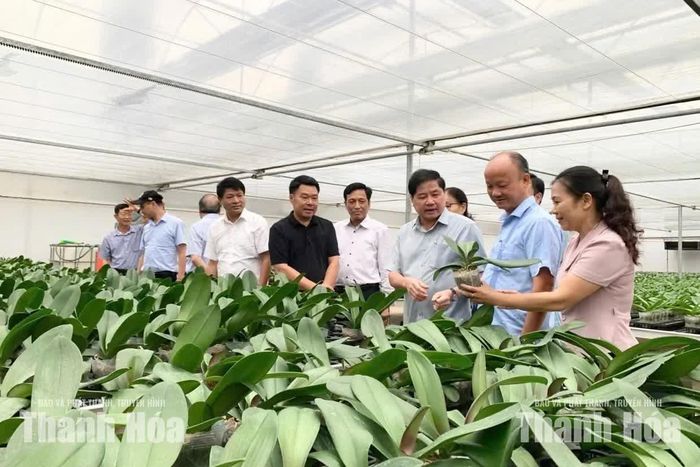 Đoàn công tác của Hội Làm vườn Việt Nam thăm mô hình trồng hoa lan công nghệ cao tại Công ty TNHH Công nghệ cao Thiên Trường 36.