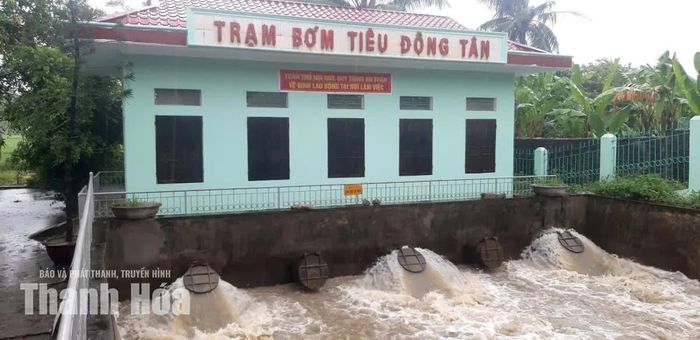 Công ty TNHH MTV Sông Chu vận hành Trạm bơm tiêu Dân Quyền.