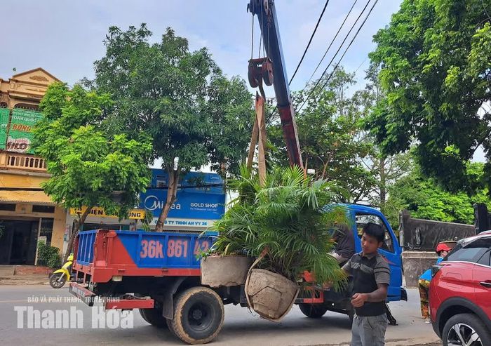 Phường Hạc Thành huy động phương tiện, máy móc để xử lý các trường hợp vi phạm.