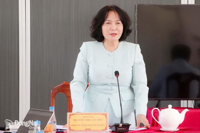 Thành ủy viên, Phó Chủ tịch UBND thành phố Nguyễn Thị Cát Tiên phát biểu tại buổi làm việc. Ảnh: Phạm Tùng