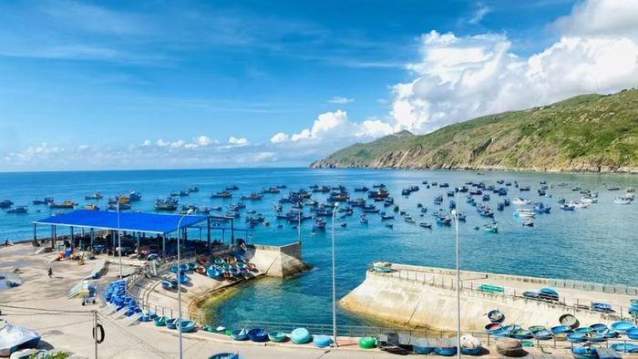 Cảng cá Nhơn Lý không chỉ phục vụ hoạt động nghề cá mà còn trở thành điểm đón, trả khách cho các chuyến du lịch đường thủy. Ảnh: N.T