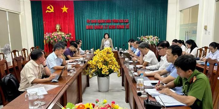 Trưởng Ban Pháp chế HĐND tỉnh Đinh Ly An phát biểu kết luận buổi làm việc. Ảnh: N.L
