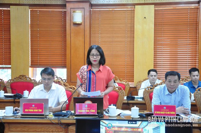 Lãnh đạo Thanh tra tỉnh phát biểu tại cuộc họp