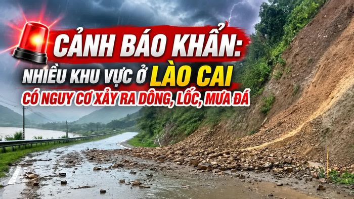 Ảnh minh họa (AI).