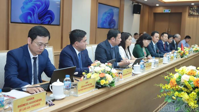 Đại biểu tham dự hội đàm.