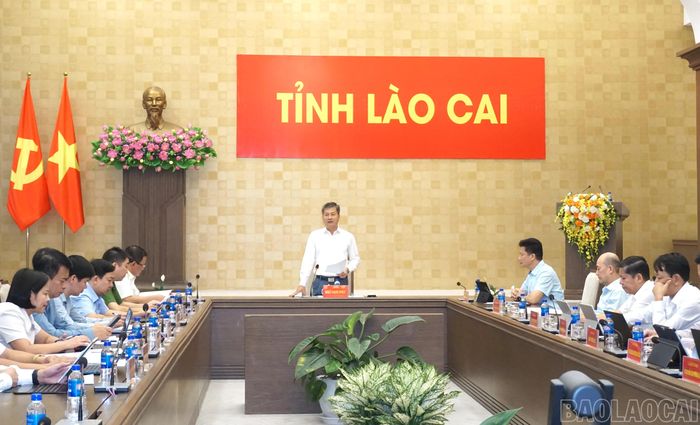 Đồng chí Ngô Hạnh Phúc - Ủy viên Ban Thường vụ Tỉnh ủy, Phó Chủ tịch Thường trực UBND tỉnh phát biểu kết luận hội nghị.