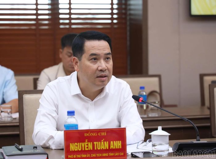 Đồng chí Nguyễn Tuấn Anh - Chủ tịch UBND tỉnh phát biểu kết luận tại buổi làm việc.