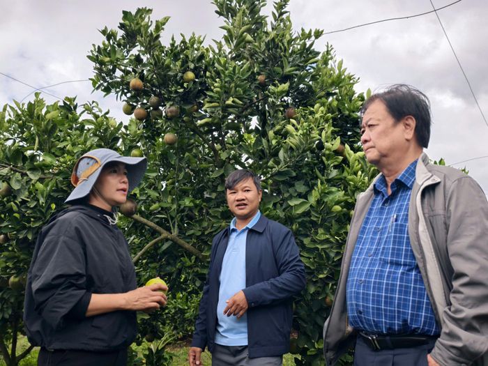 Nguyên Phó Chủ tịch Quốc hội Lê Minh Hoan góp ý cho các mô hình du lịch nông nghiệp ở Lâm Đồng