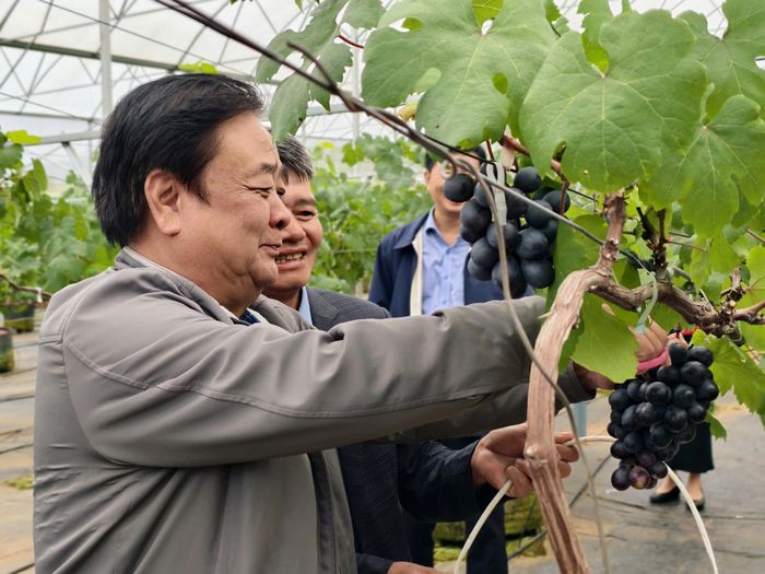 Nguyên Phó Chủ tịch Quốc hội, nguyên Bộ trưởng Bộ Nông nghiệp và Phát triển nông thôn (nay là Bộ Nông nghiệp và Môi trường) Lê Minh Hoan tham quan mô hình du lịch canh nông ở xã Hiệp Thạnh