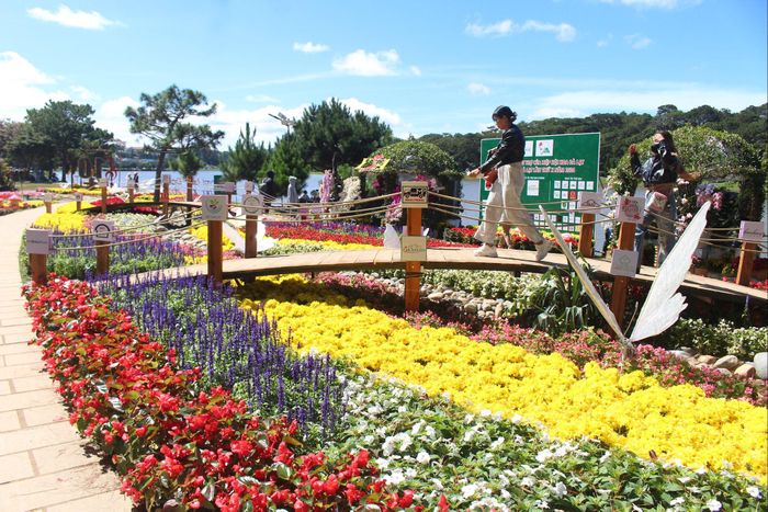 Không gian hoa rộng lớn trong những mùa Festival Hoa Đà Lạt luôn là điểm nhấn thu hút du khách. (Ảnh tư liệu)