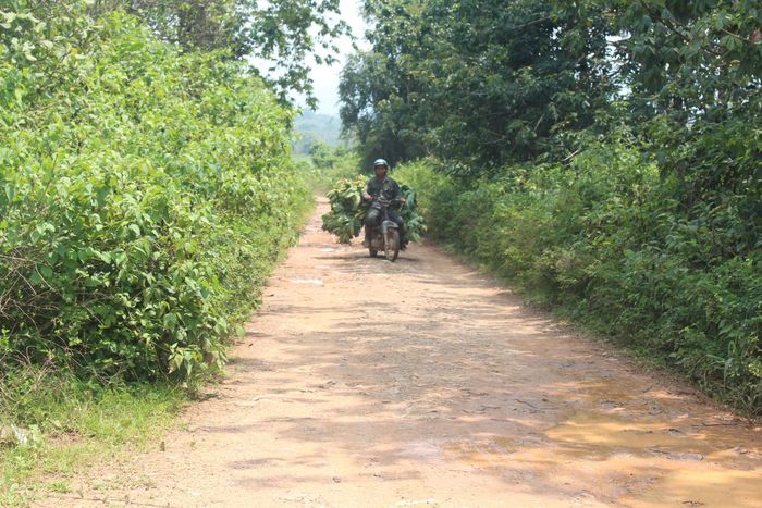 Địa phương đề xuất quan tâm đầu tư tuyến đường đất kết nối xã Đông Giang với xã Sơn Điền