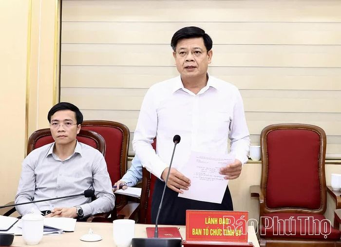 Lãnh đạo Ban Tổ chức Tỉnh ủy phát biểu tại buổi làm việc.