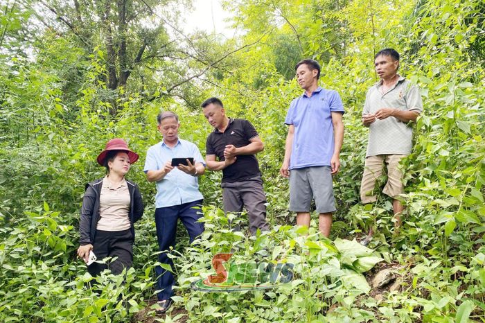 Cán bộ Chi nhánh Quỹ Bảo vệ và Phát triển rừng khu vực II rà soát diện tích rừng tại bản Đoàn Kết, xã Yên Châu.