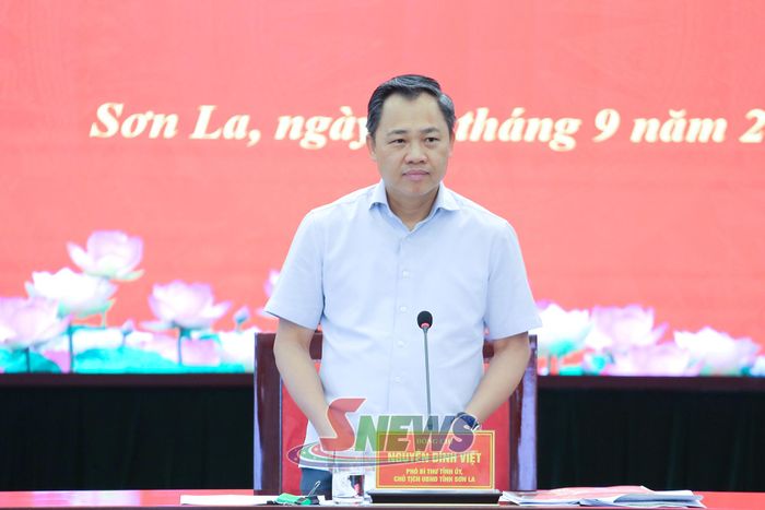 Đồng chí Chủ tịch UBND tỉnh phát biểu kết luận cuộc họp.