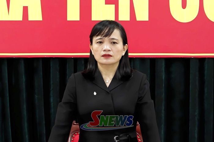 Đồng chí Lường Thị Vân Anh phát biểu tại cuộc làm việc.