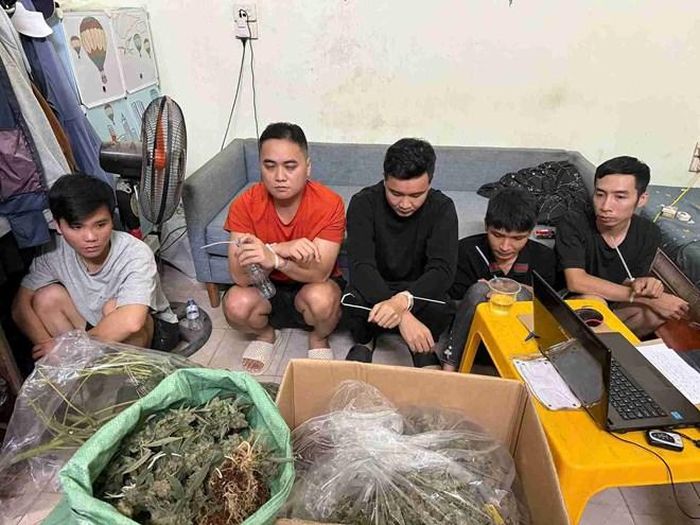 Nhóm 5 đối tượng trồng cây cần sa và mua bán trái phép ma túy là cần sa trên không gian mạng bị Cơ quan điều tra bắt giữ, khởi tố. Ảnh: Công an tỉnh Hưng Yên
