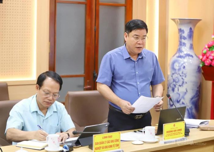 Phó Chủ tịch UBND tỉnh Hoàng Gia Long phát biểu ý kiến tại buổi làm việc.