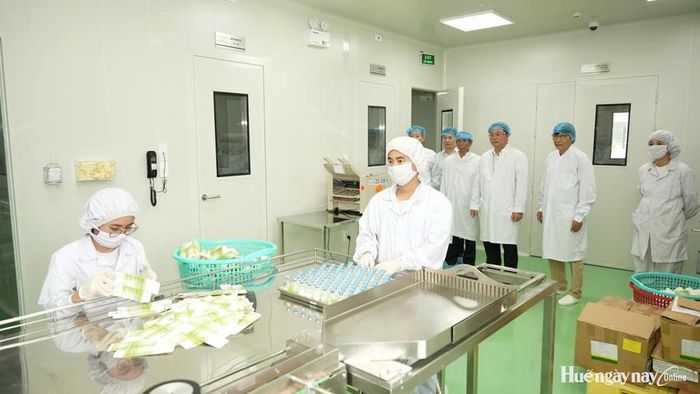 Phó Bí thư Thành ủy, Chủ tịch UBND thành phố Lê Trí Thanh tham quan quy trình sản xuất tại Công ty TNHH Sinh dược phẩm Hera. Ảnh: Ngọc Hiếu