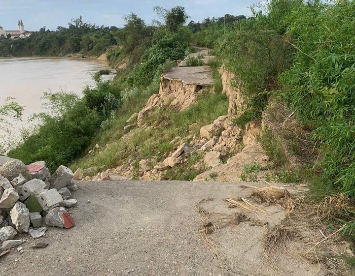 Tuyến đê sông Lam đoạn qua xã Anh Sơn (Nghệ An) bị sạt lở nghiêm trọng có những điểm đứt gãy luôn cả đường bê tông.