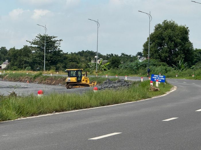 Một góc đại lộ Nguyễn Hữu Cảnh qua phường Long Hưng.
