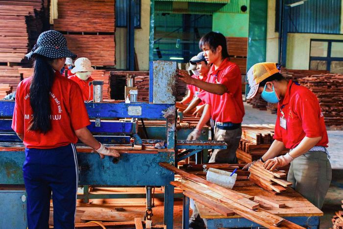  Hoạt động sản xuất kinh doanh tại doanh nghiệp trên địa bàn Phú Thọ (Ảnh Vũ Hải). 