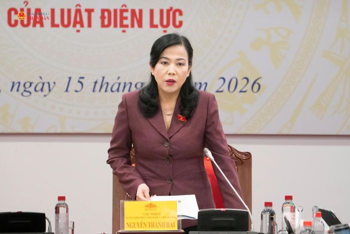 Chủ nhiệm Ủy ban Khoa học, Công nghệ và Môi trường Nguyễn Thanh Hải phát biểu tại phiên họp
