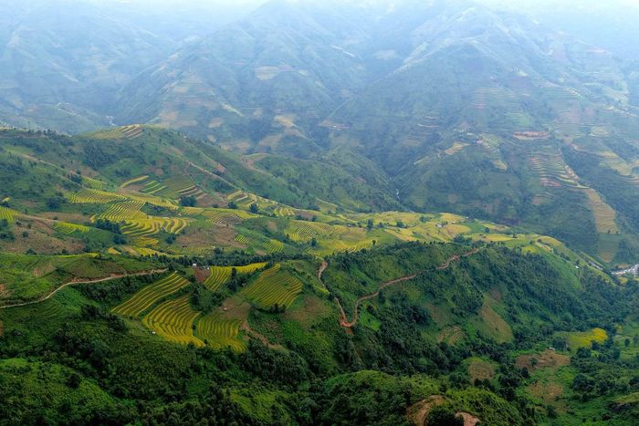 Những thửa ruộng bậc thang Xím Vàng khoác lên mình sắc vàng óng ả khi vào mùa lúa chín.