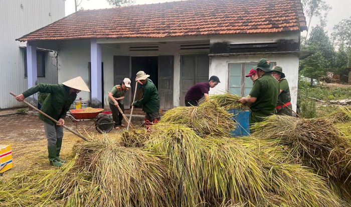Hình ảnh đầy xúc động, thắm tình quân dân khi Công an xã Chiên Đàn giúp người dân thu hoạch lúa bị ngã đổ.