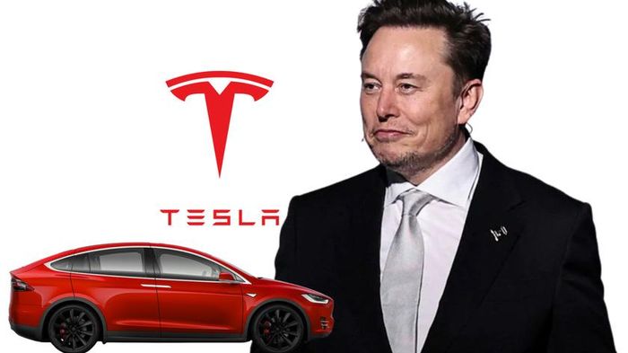 Theo thông tin đăng ký doanh nghiệp, Tesla Motors Việt Nam hoạt động trong lĩnh vực bán buôn ô tô và xe có động cơ.