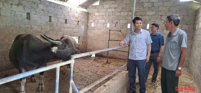 Đoàn công tác kiểm tra mô hình, dự án vay vốn trên địa bàn xã Quảng Uyên.