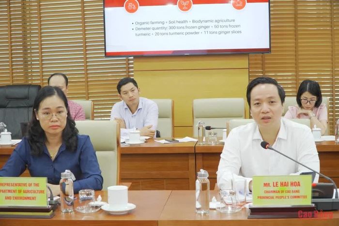 Chủ tịch UBND tỉnh Lê Hải Hòa kết luận buổi làm việc.