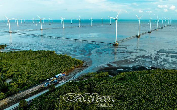 Cà Mau phát triển năng lượng điện gió, hướng tới trung tâm năng lượng sạch của đồng bằng sông Cửu Long và cả nước. Ảnh: HUỲNH LÂM