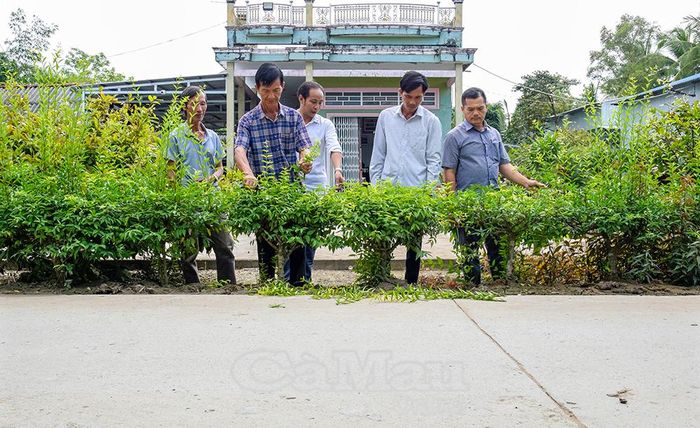 Người dân Ấp 2, xã Ðá Bạc, trồng và cắt tỉa hàng rào cây xanh dọc tuyến đường mới, vừa bảo vệ công trình giao thông, vừa làm đẹp cảnh quan nông thôn.