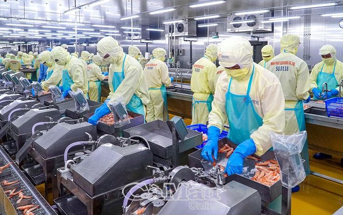 Với quy hoạch toàn tỉnh có 13 khu công nghiệp và 1 khu kinh tế, nhu cầu việc làm cho lao động nông thôn trên địa bàn tỉnh thời gian tới tiếp tục tăng.