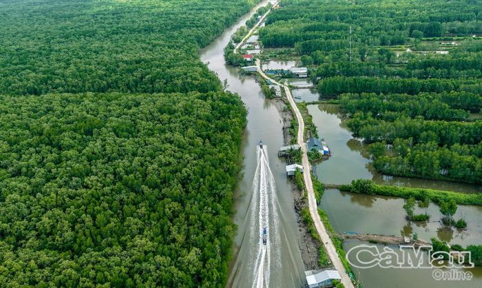 Dòng Rạch Vàm len qua khu rừng giữa lòng Ðất Mũi, nối mạch Ðông - Tây.