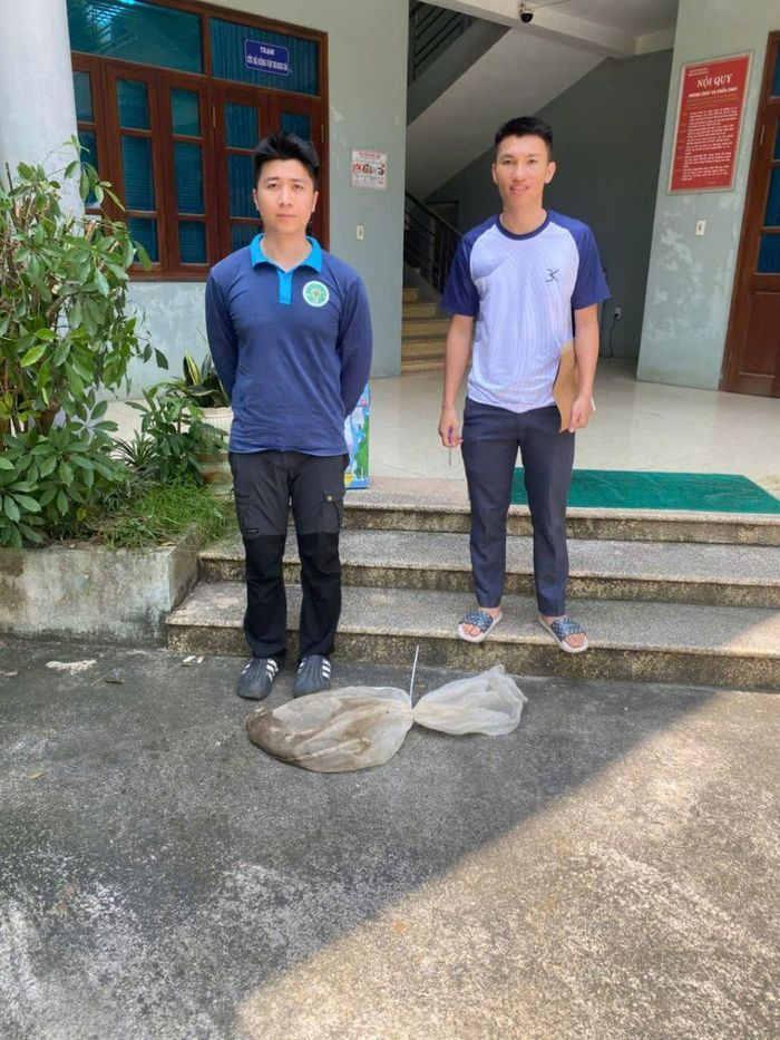 Cá thể rắn quý hiếm được bàn giao cho đơn vị chức năng chăm sóc, bảo vệ